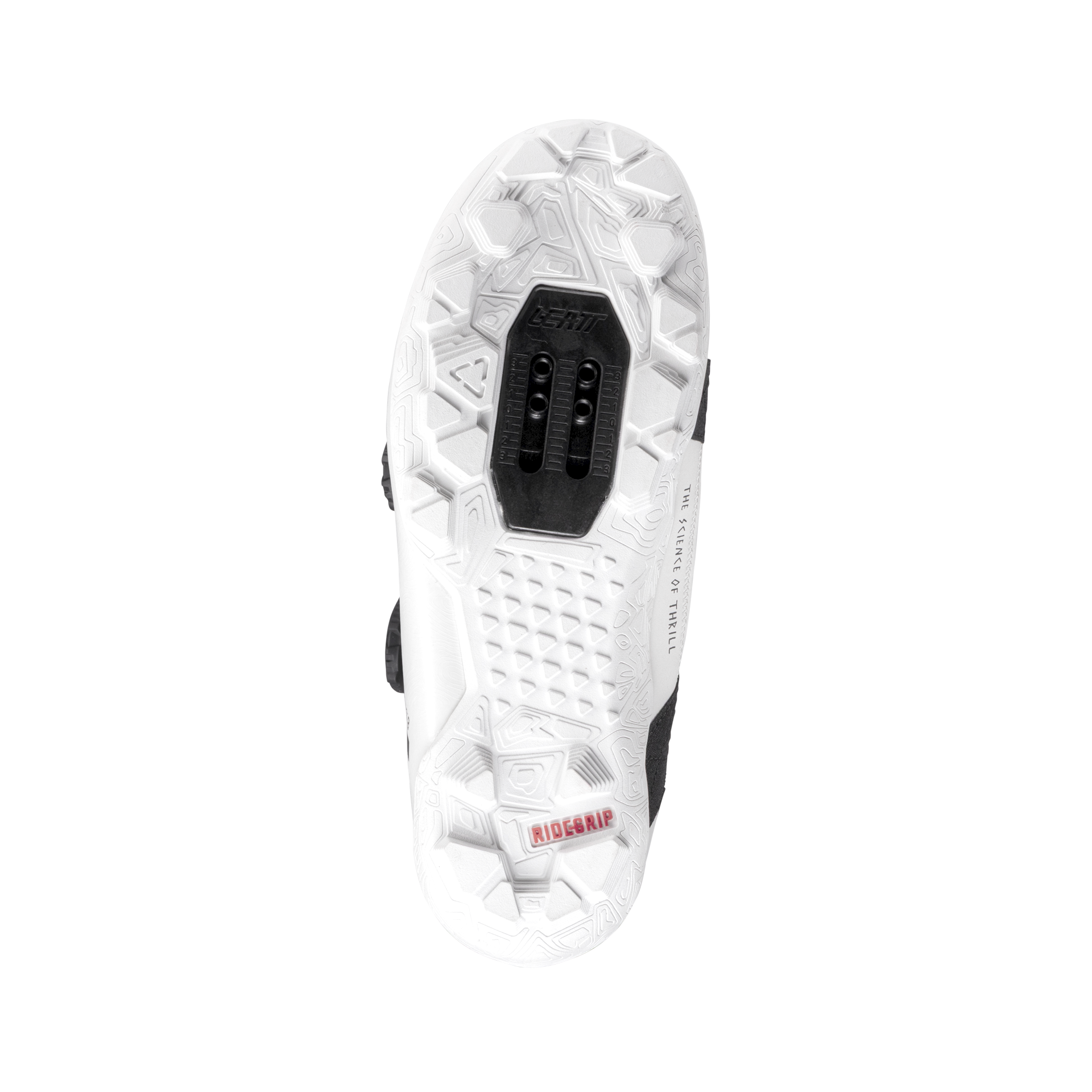 Shoe ProClip 8.0 Race – Women