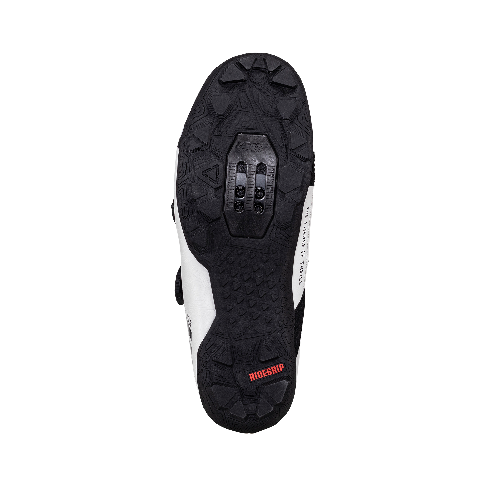 Shoe ProClip 8.0 Race - Women